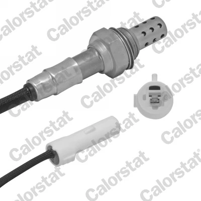 Oxygen Sensor